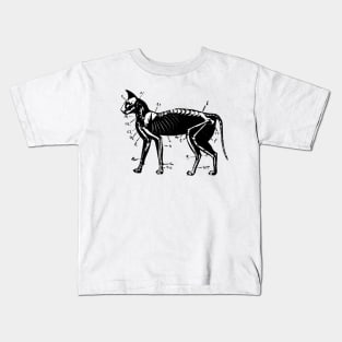 Cat Skeleton Anatomy Kids T-Shirt